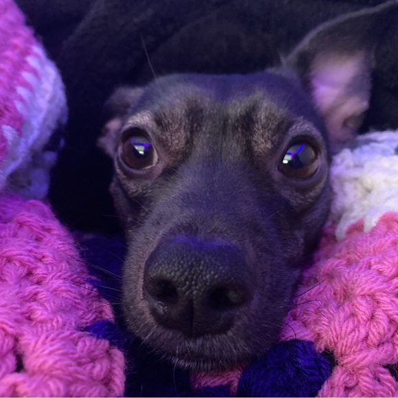 Share Show Notifications ☕️ ☀️ 🫶 - Picture 4 of 7